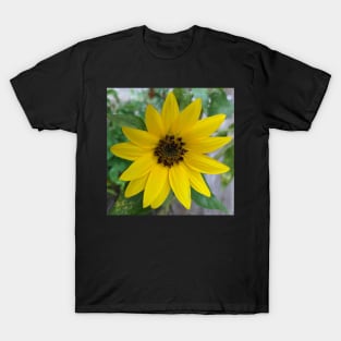 Small Sunflower Photographic Image T-Shirt